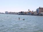 Pobřeží u kyperského města Larnaca