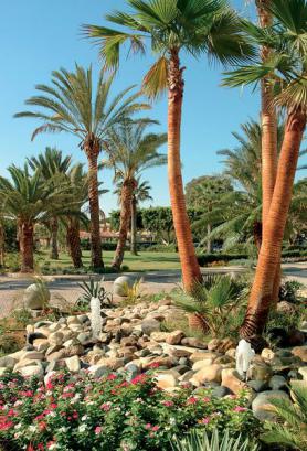 Kyperský hotel Palm Beach se zahradou