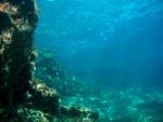 Ostrov Kypr a podmořský svět